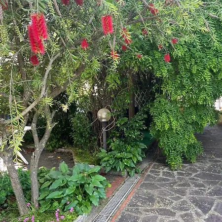 Villa La Casa Di Mary Castiglion Fiorentino Esterno foto