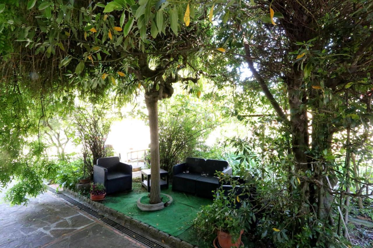 Ferienhaus La Casa Di Mary Castiglion Fiorentino